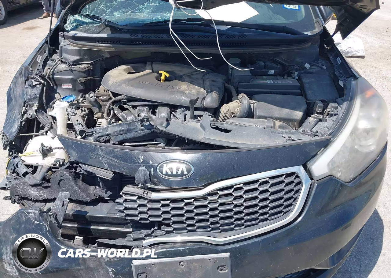 2015 Kia Forte Lx VIN:KNAFX4A67F5372329 - 10