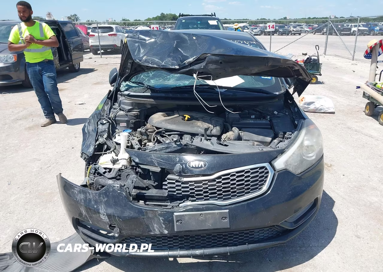 2015 Kia Forte Lx VIN:KNAFX4A67F5372329 - 11