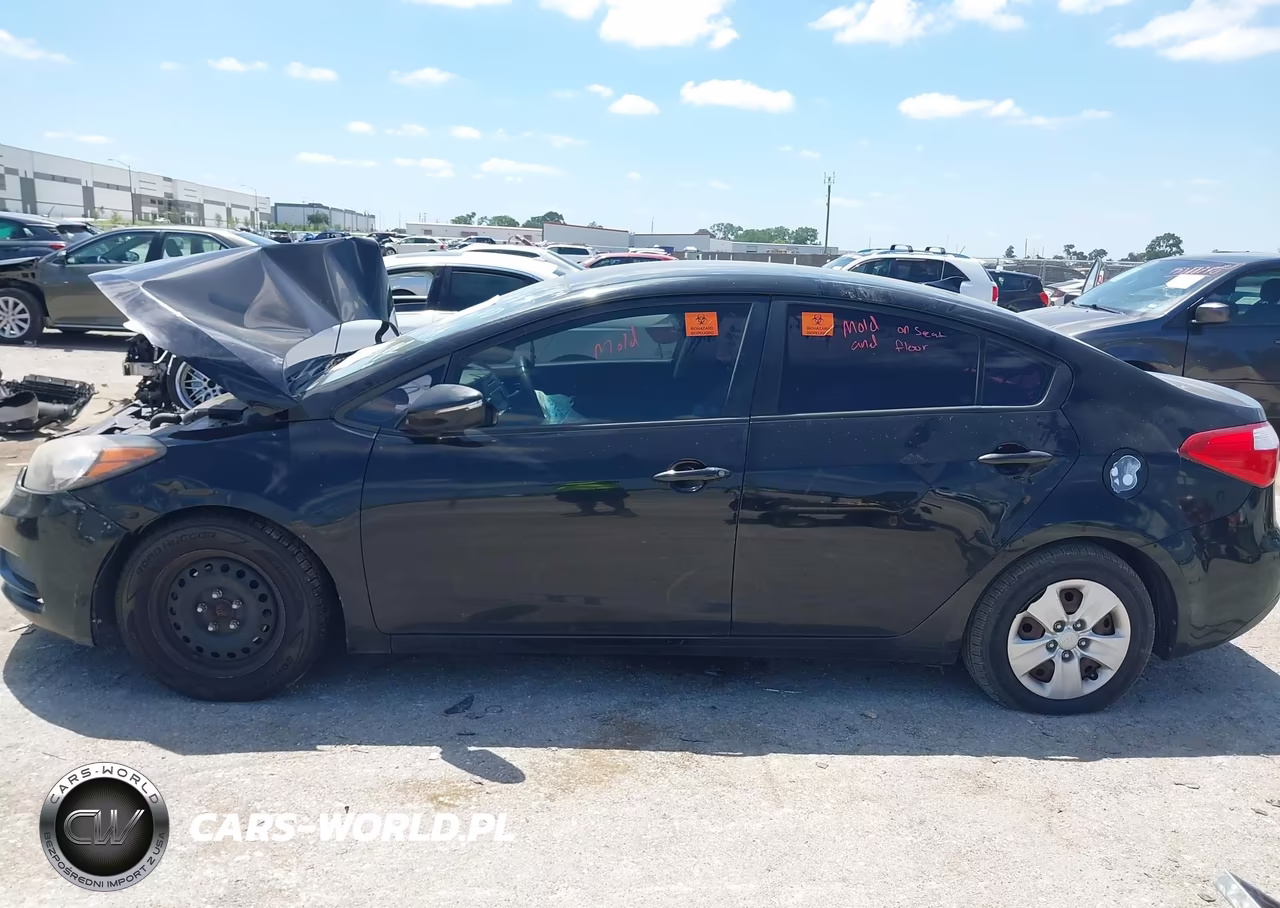 2015 Kia Forte Lx VIN:KNAFX4A67F5372329 - 13