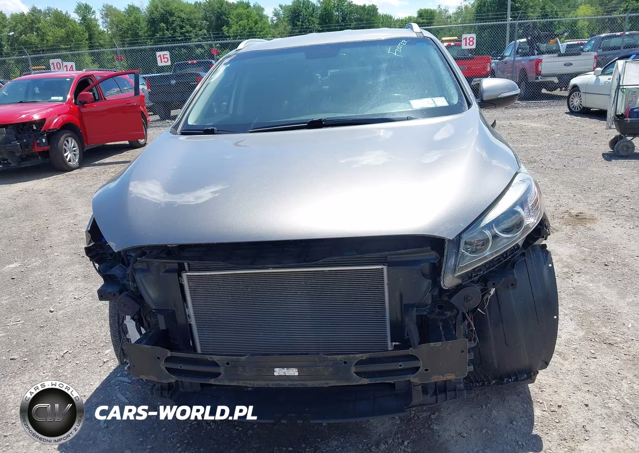 2017 Kia Sorento 2.4L Lx VIN:5XYPGDA37HG203340 - 13