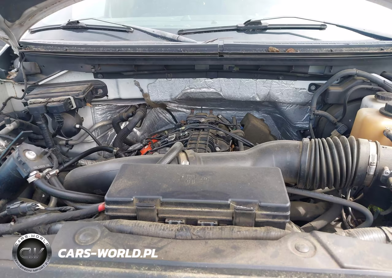 2011 Ford F-150 Xlt VIN:1FTFW1ET4BKE01009 - 10