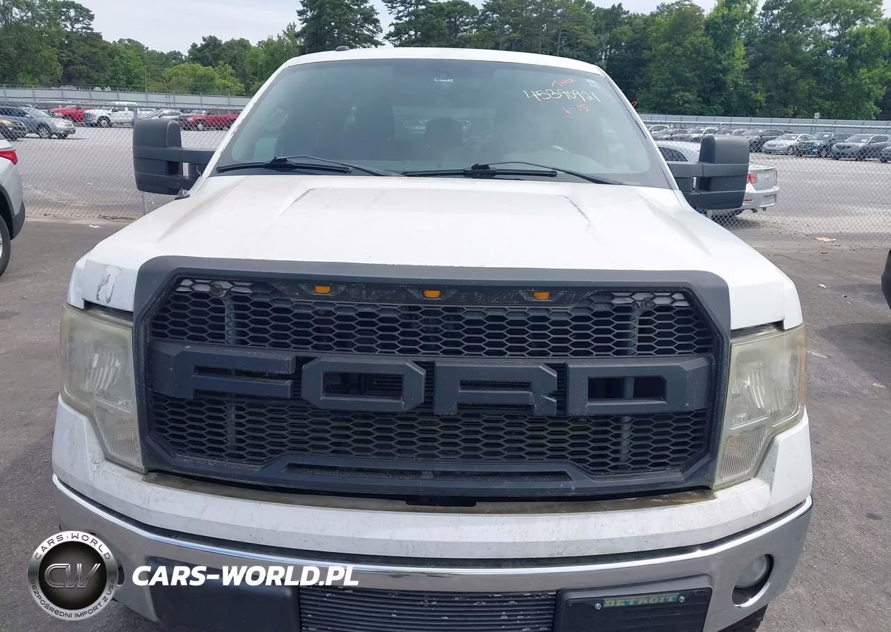 2011 Ford F-150 Xlt VIN:1FTFW1ET4BKE01009 - 12