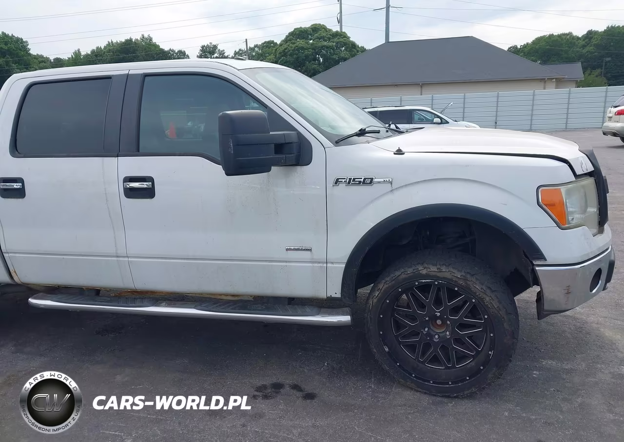 2011 Ford F-150 Xlt VIN:1FTFW1ET4BKE01009 - 13