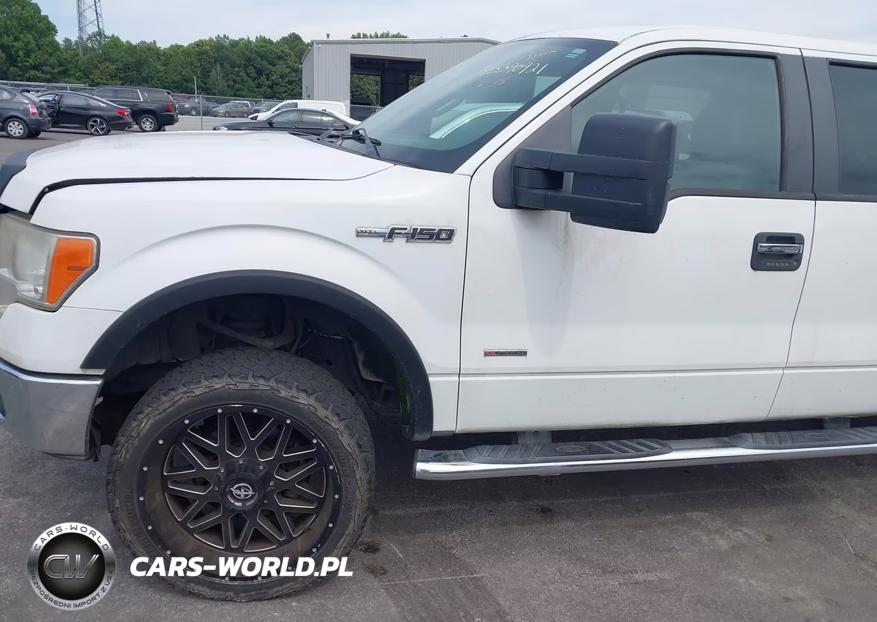 2011 Ford F-150 Xlt VIN:1FTFW1ET4BKE01009 - 14