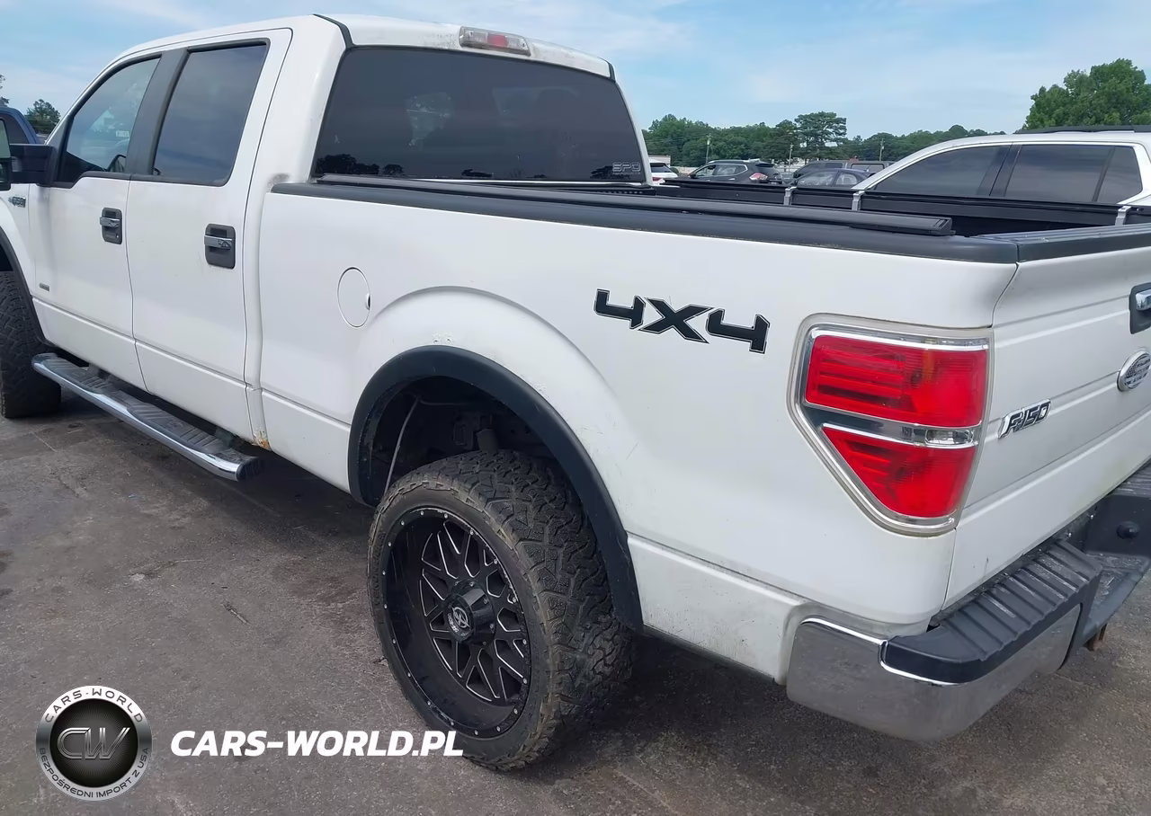 2011 Ford F-150 Xlt VIN:1FTFW1ET4BKE01009 - 3