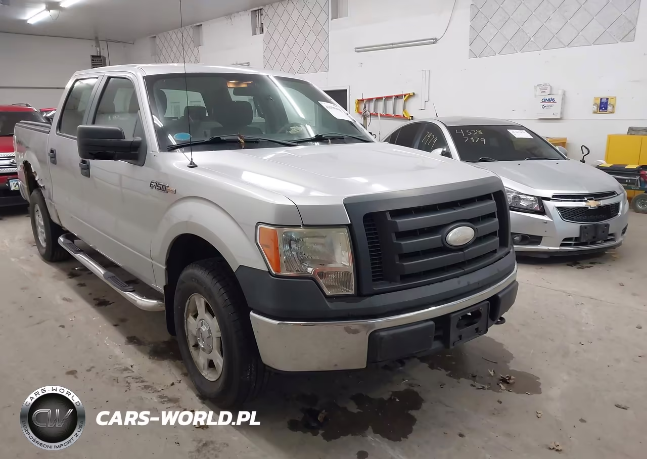 2009 Ford F-150 Xl-Xlt