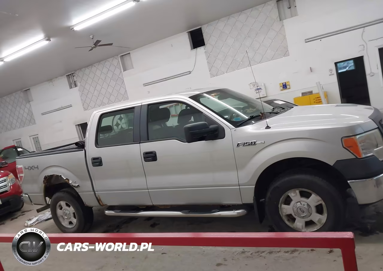 2009 Ford F-150 Xl-Xlt VIN:1FTRW14809FA61497 - 13