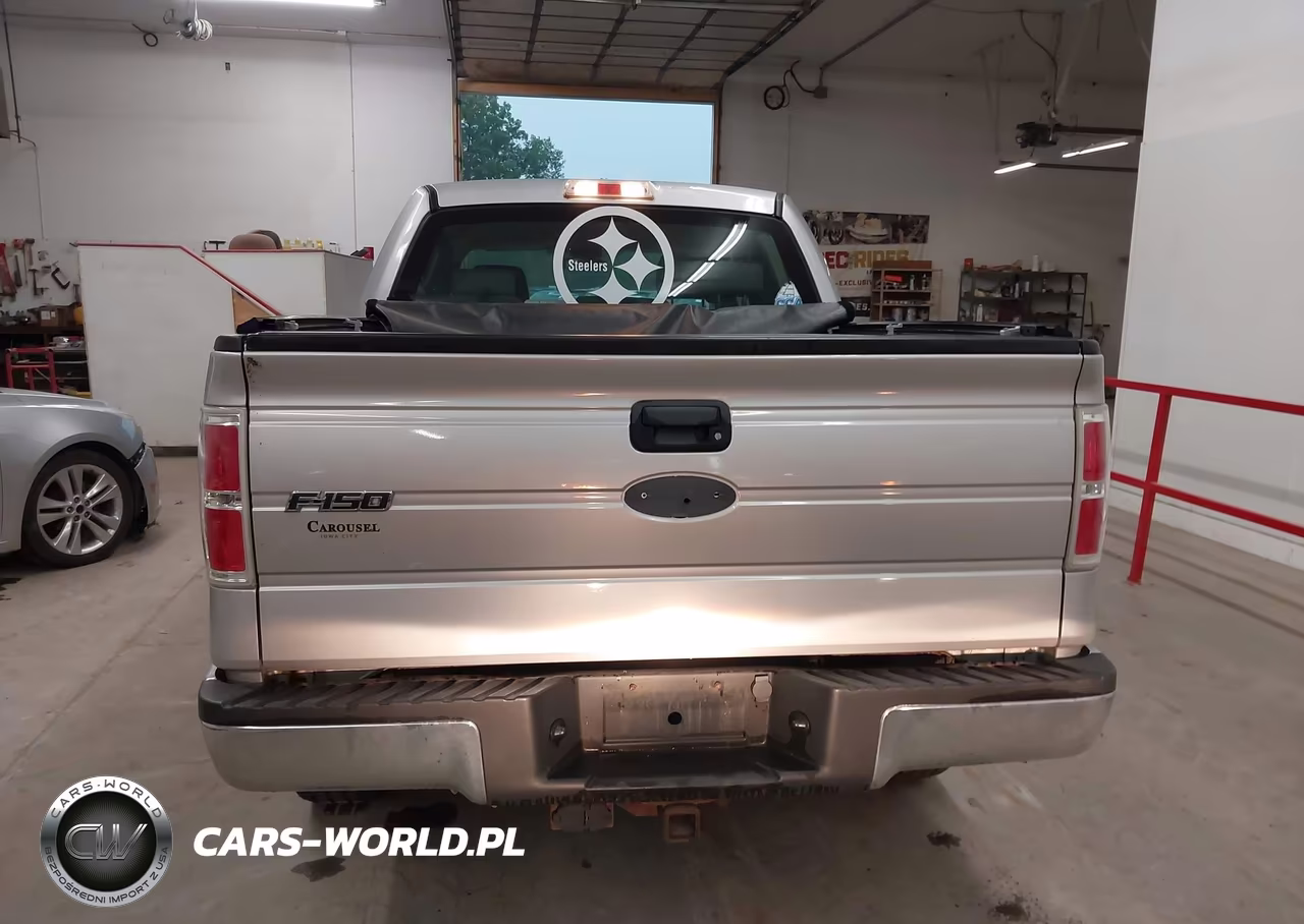 2009 Ford F-150 Xl-Xlt VIN:1FTRW14809FA61497 - 16