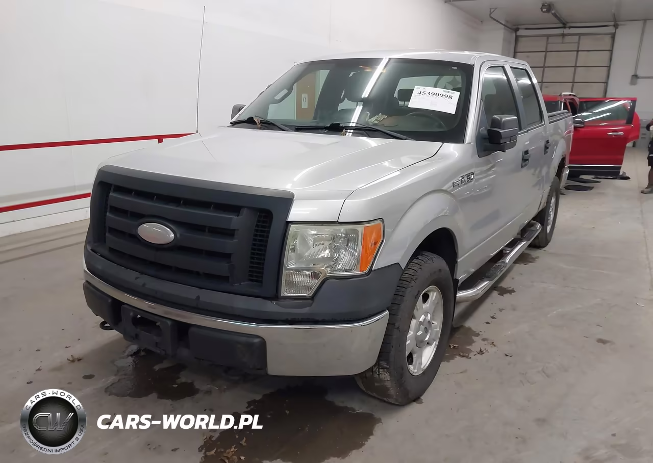 2009 Ford F-150 Xl-Xlt VIN:1FTRW14809FA61497 - 2