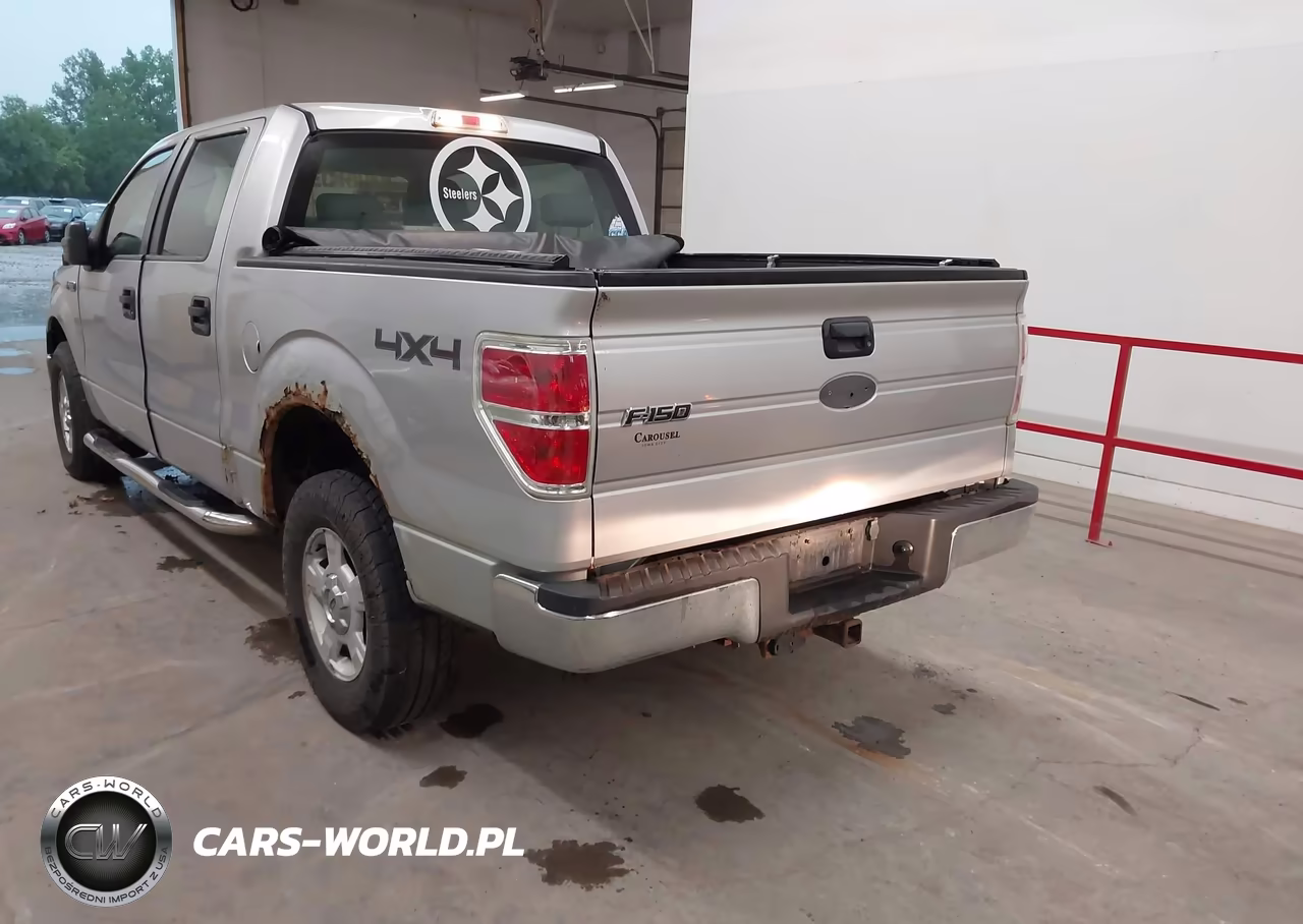 2009 Ford F-150 Xl-Xlt VIN:1FTRW14809FA61497 - 3
