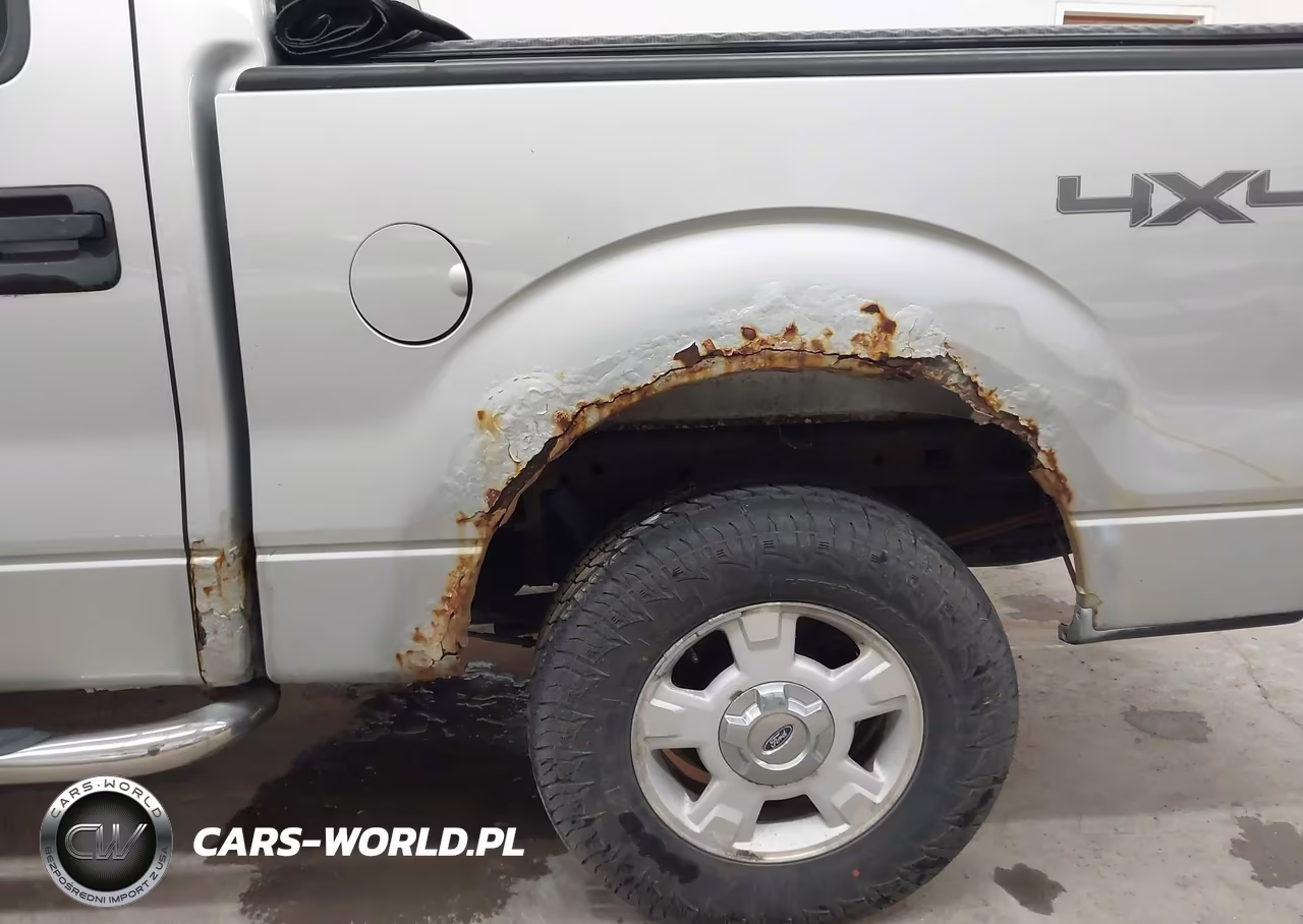2009 Ford F-150 Xl-Xlt VIN:1FTRW14809FA61497 - 6