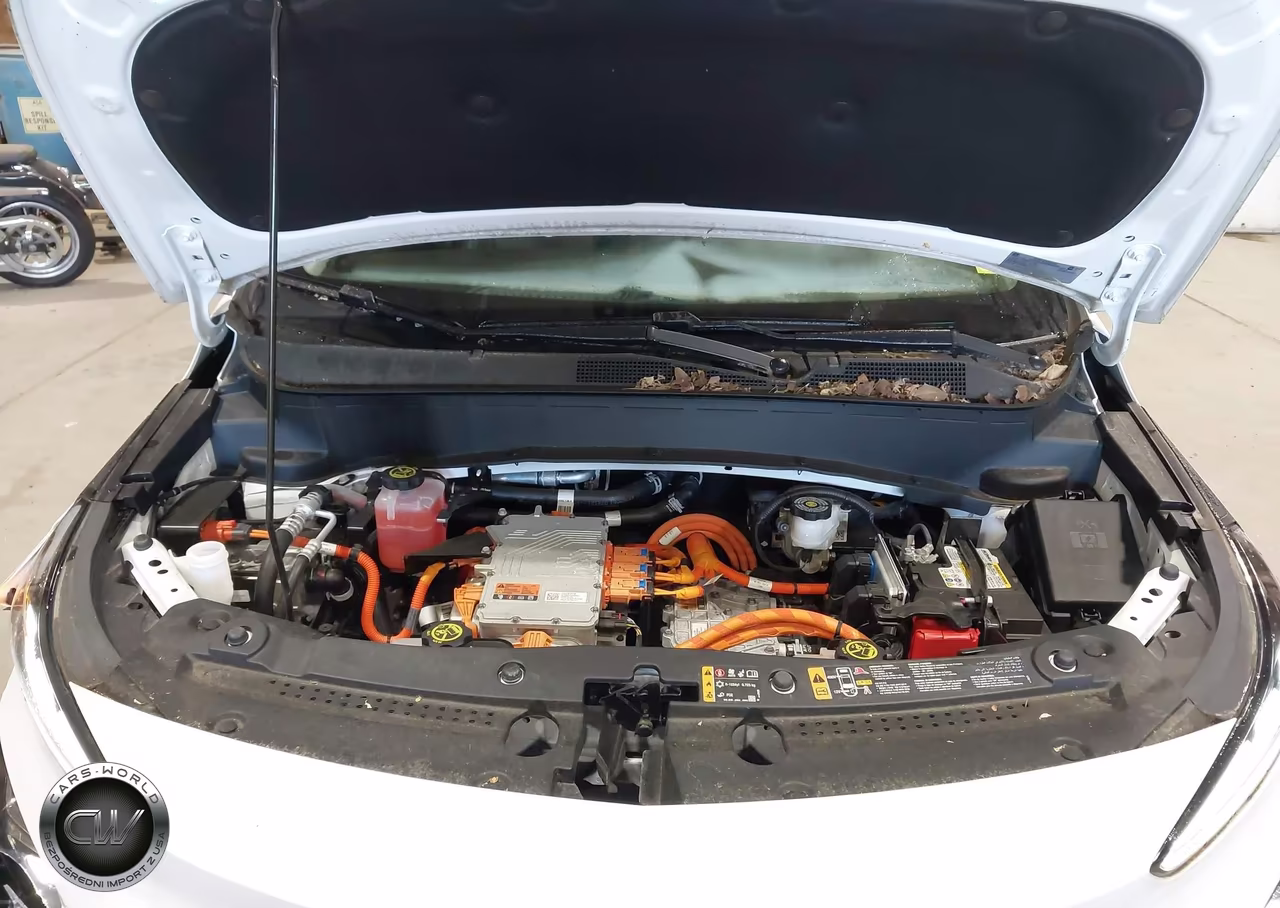2022 Chevrolet Bolt Euv Fwd Premier VIN:1G1FZ6S01N4119524 - 10