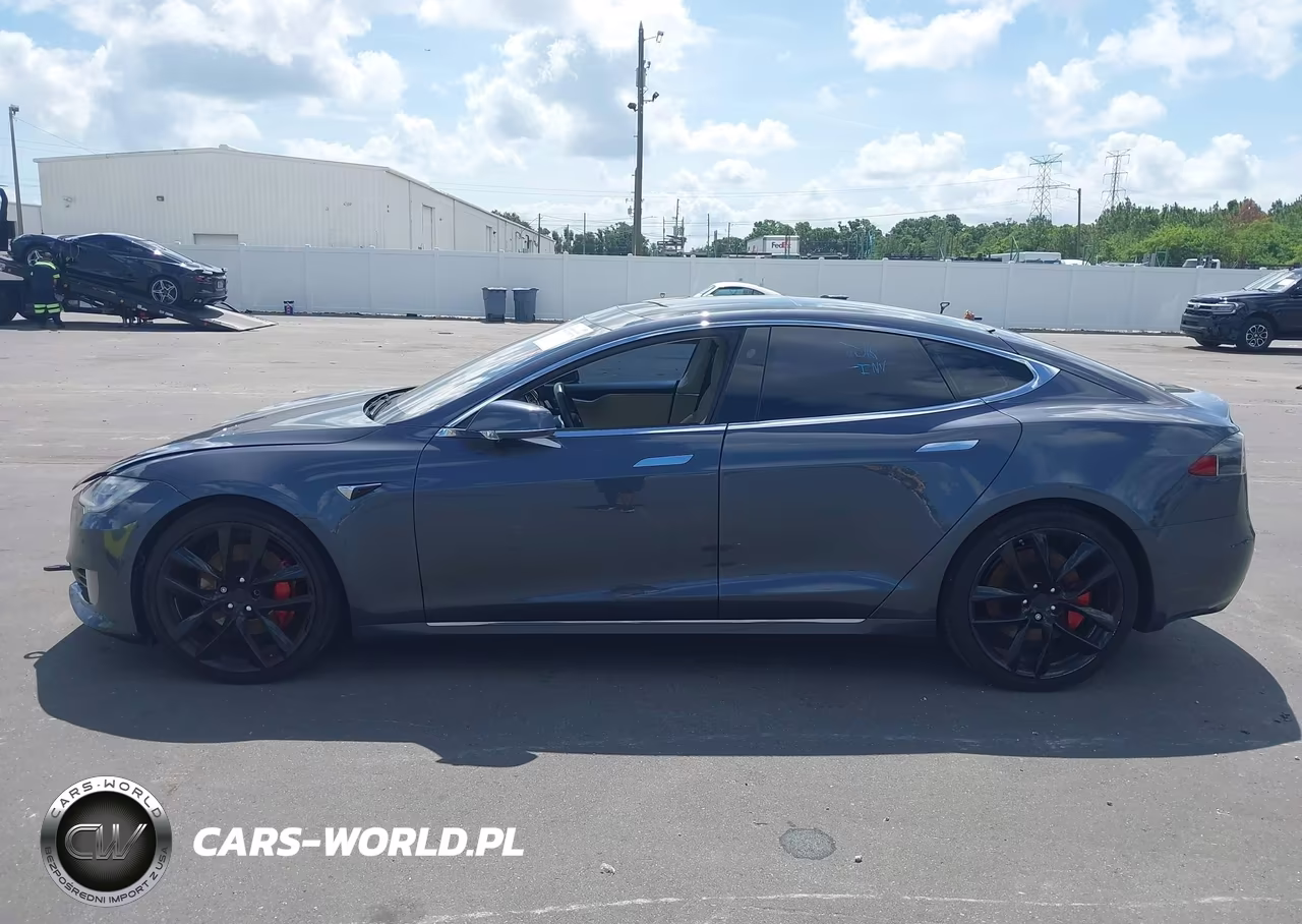 2017 Tesla Model S 100D-60D-75D-90D-P100D VIN:5YJSA1E29HF190870 - 13