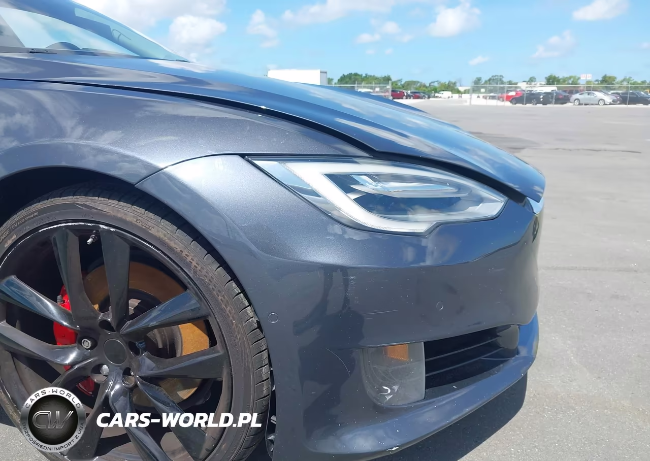 2017 Tesla Model S 100D-60D-75D-90D-P100D VIN:5YJSA1E29HF190870 - 18