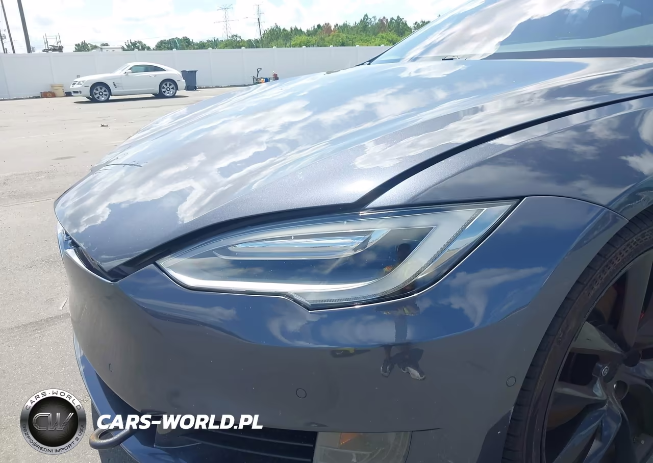 2017 Tesla Model S 100D-60D-75D-90D-P100D VIN:5YJSA1E29HF190870 - 19