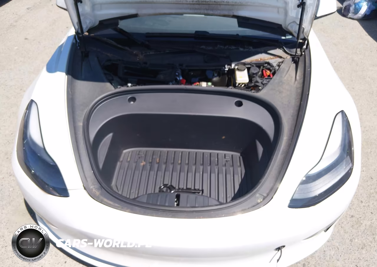 2023 Tesla Model 3 Rear-Wheel Drive VIN:5YJ3E1EA1PF576312 - 10