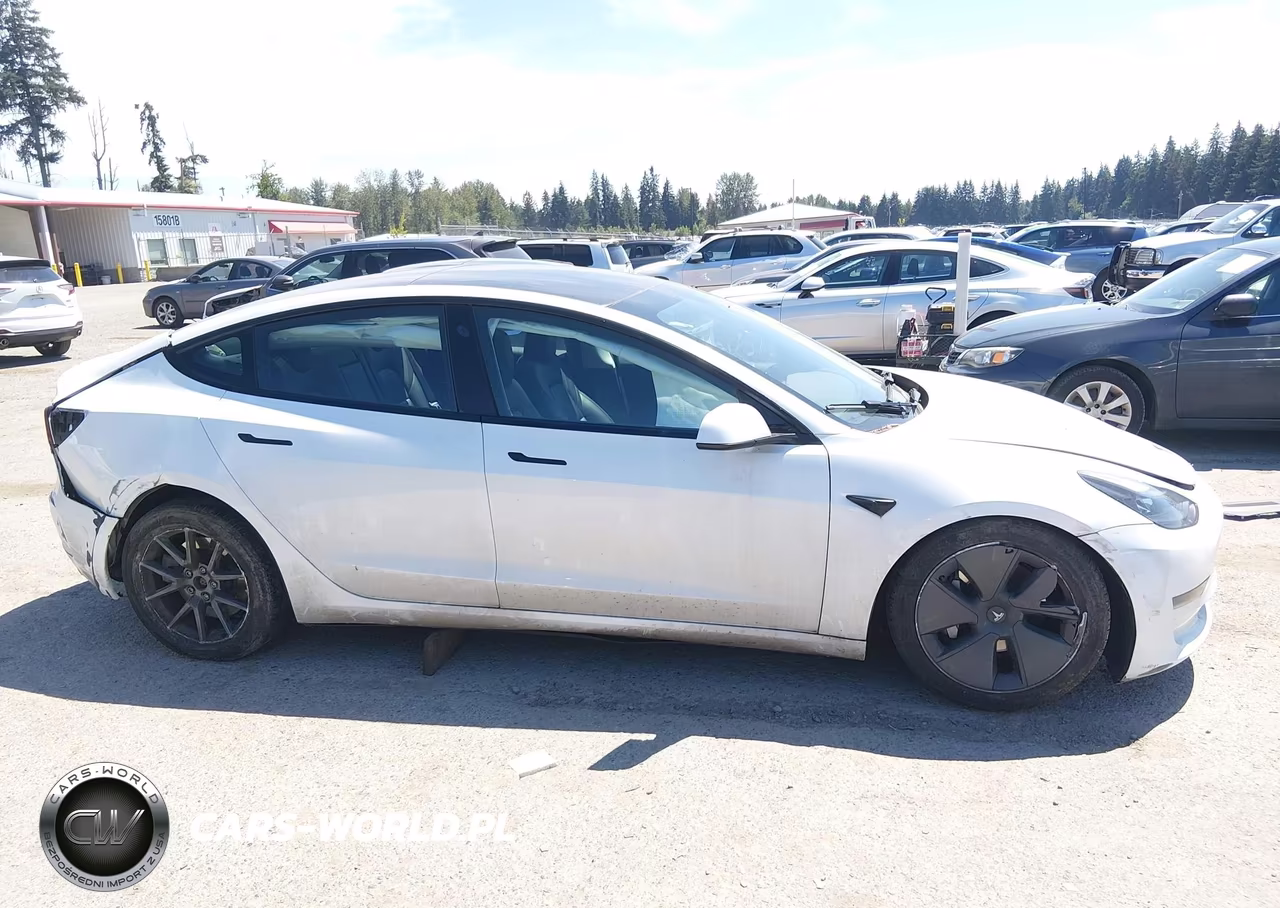 2023 Tesla Model 3 Rear-Wheel Drive VIN:5YJ3E1EA1PF576312 - 13
