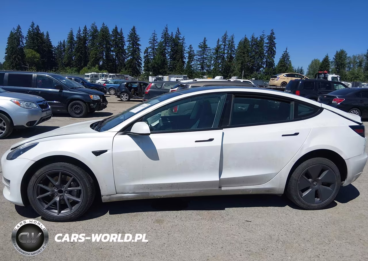 2023 Tesla Model 3 Rear-Wheel Drive VIN:5YJ3E1EA1PF576312 - 14