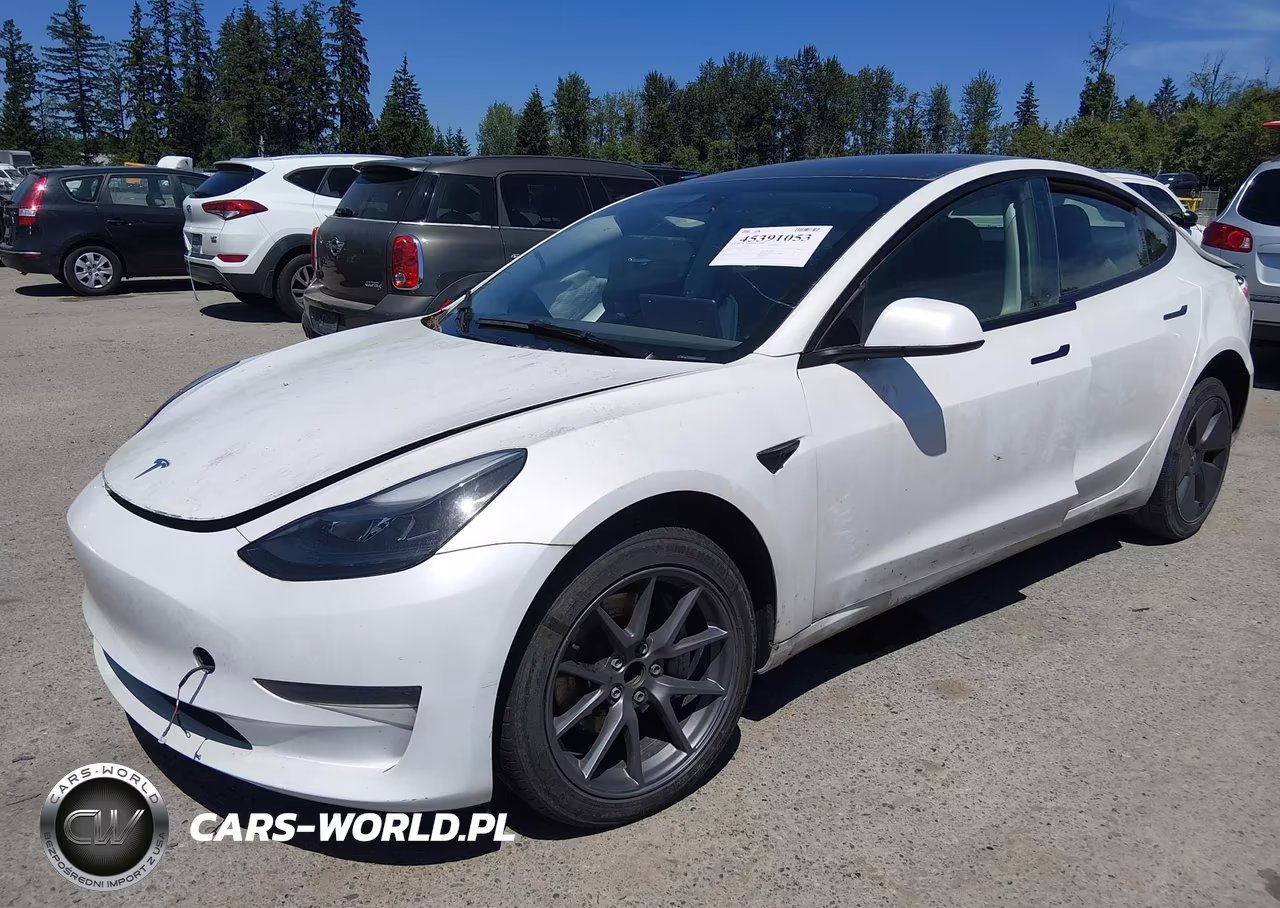 2023 Tesla Model 3 Rear-Wheel Drive VIN:5YJ3E1EA1PF576312 - 2