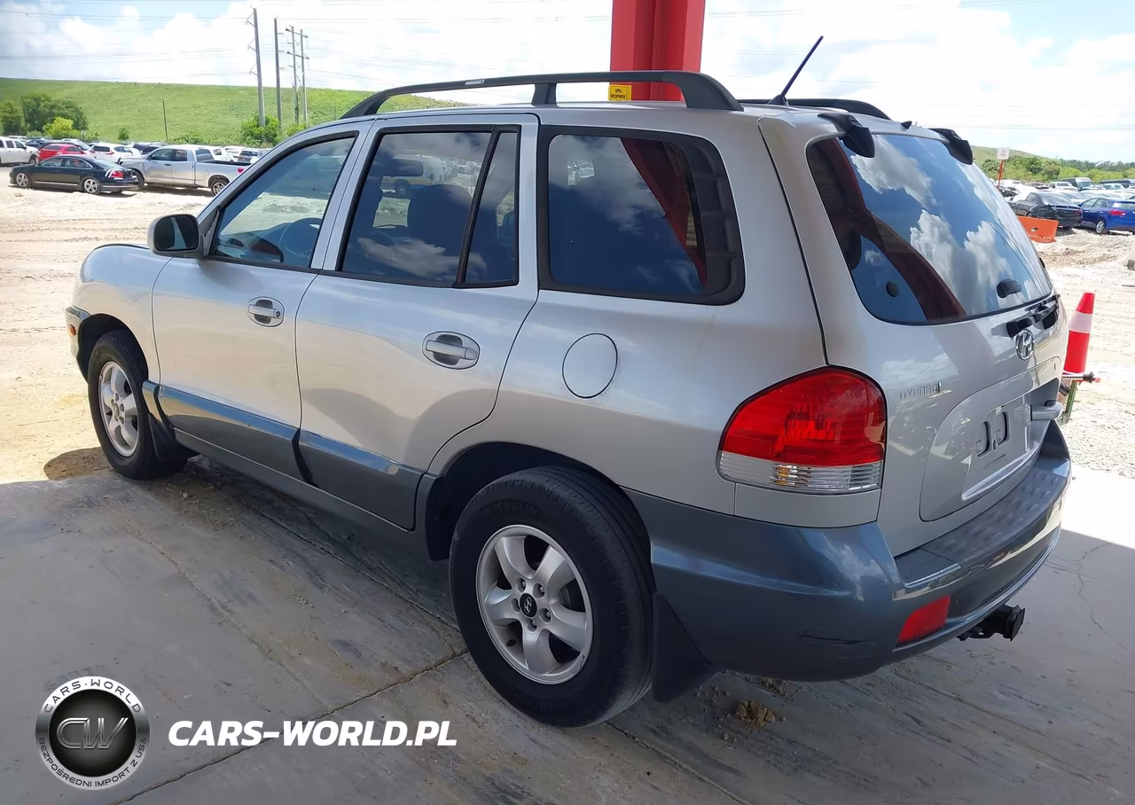 2005 Hyundai Santa Fe Gls VIN:KM8SC13DX5U937714 - 3