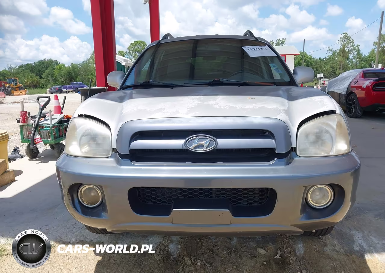 2005 Hyundai Santa Fe Gls VIN:KM8SC13DX5U937714 - 6