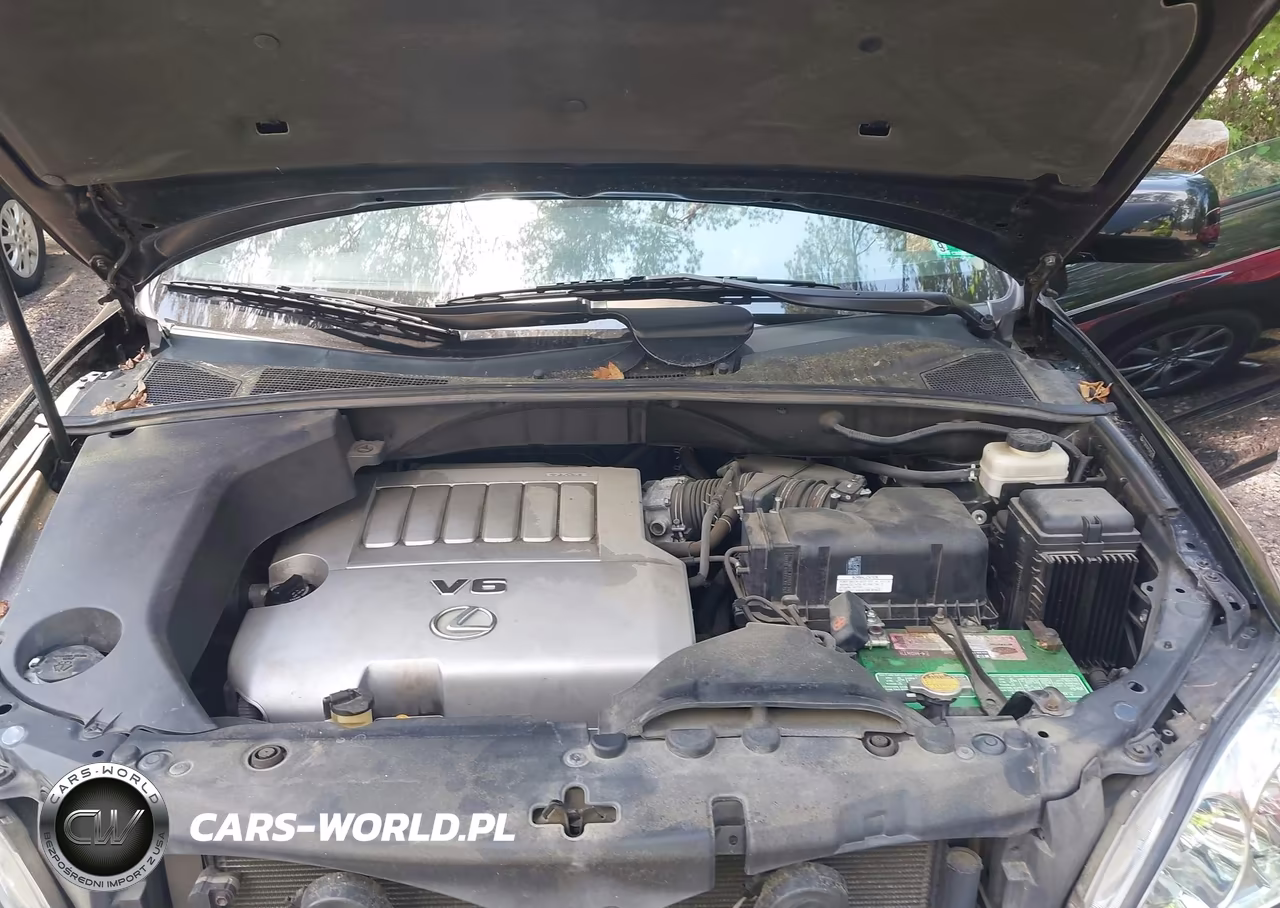 2007 Lexus Rx 350 VIN:2T2GK31U47C015219 - 10