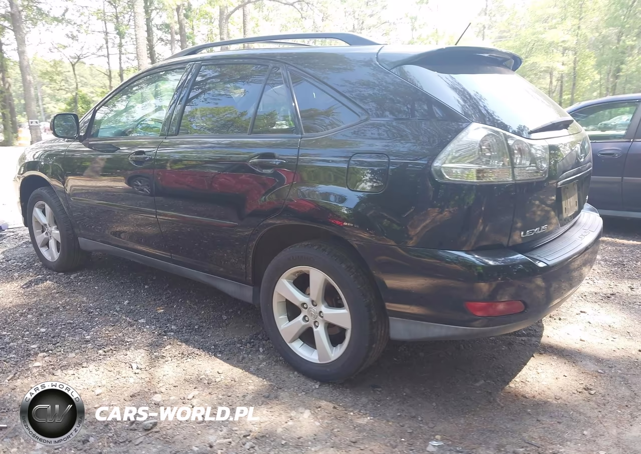 2007 Lexus Rx 350 VIN:2T2GK31U47C015219 - 3