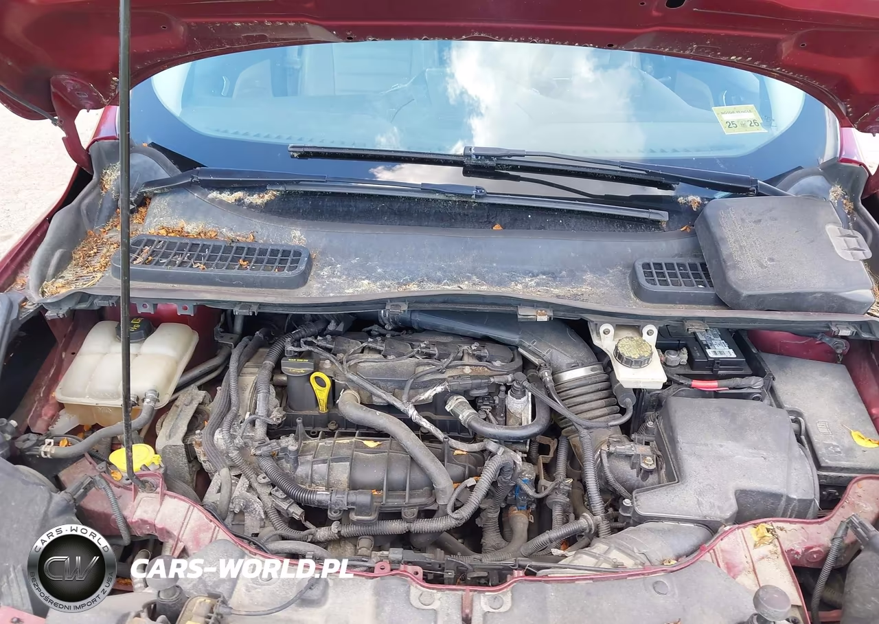 2013 Ford Escape Sel VIN:1FMCU9HX9DUA45259 - 10