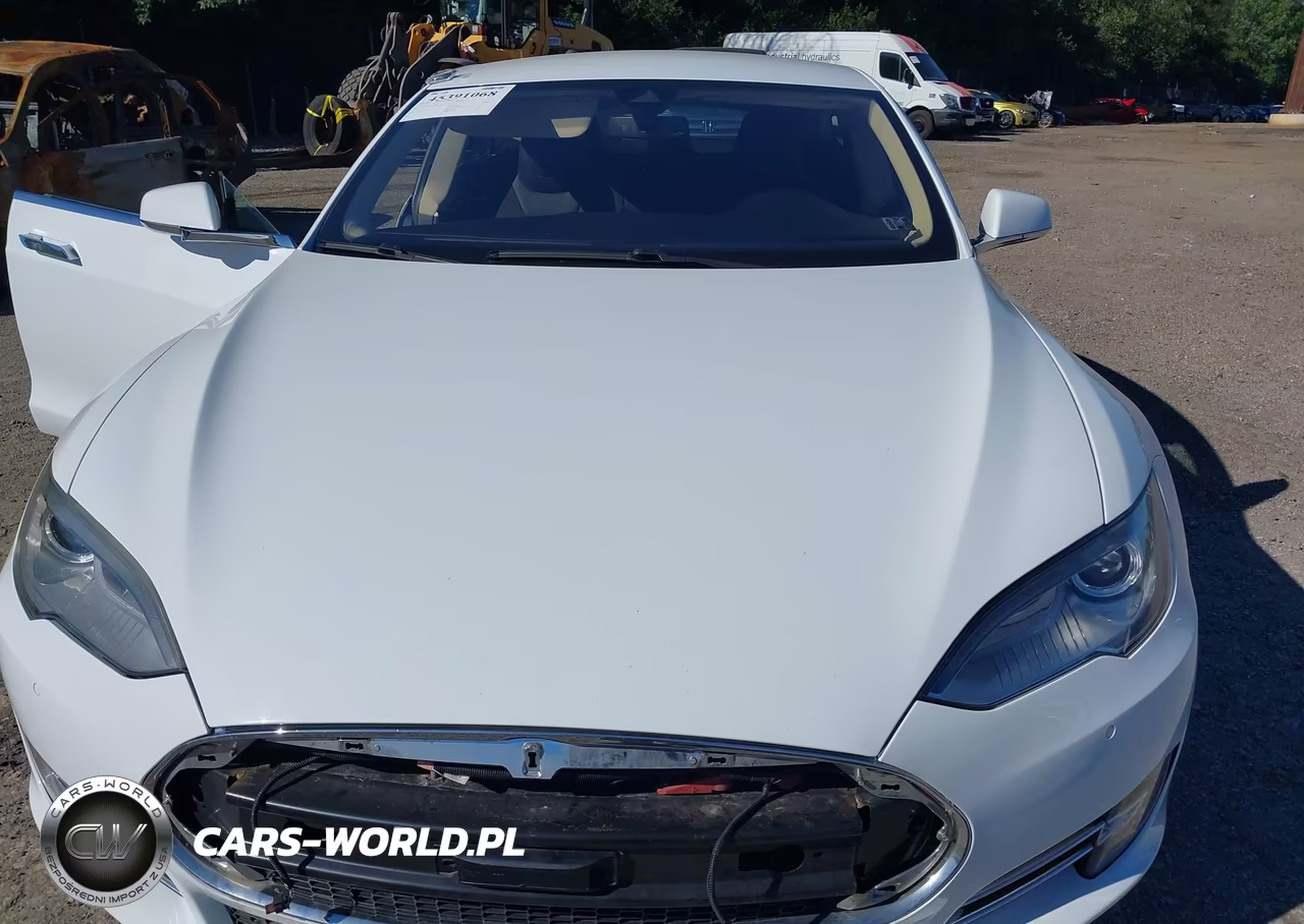 2014 Tesla Model S VIN:5YJSA1S14EFP63620 - 10