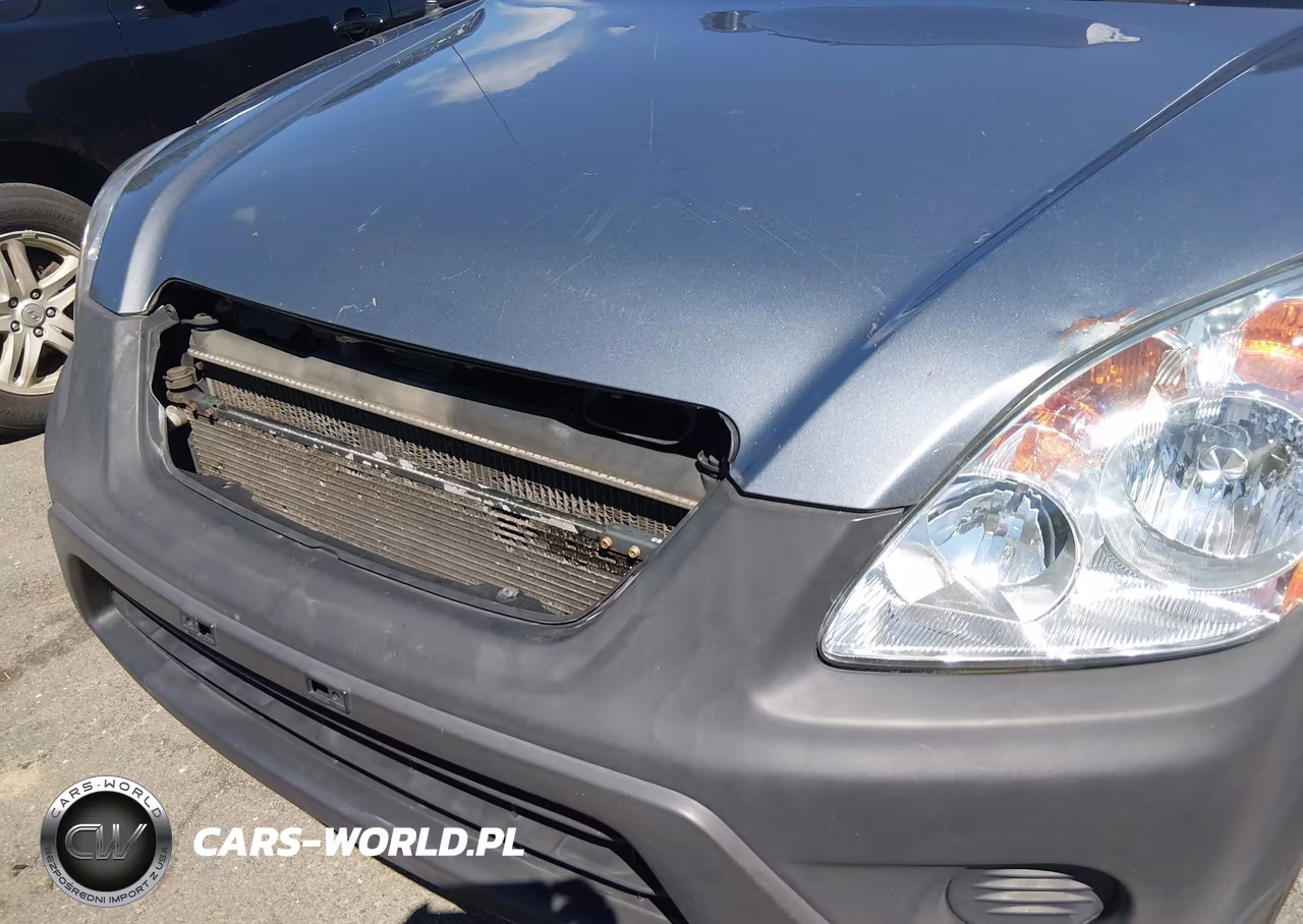 2005 Honda Cr-V Se VIN:JHLRD789X5C060416 - 6