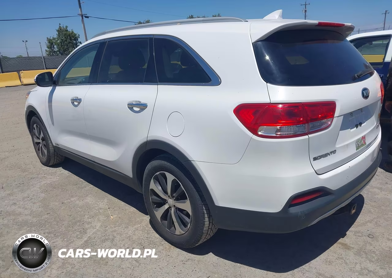 2016 Kia Sorento 2.0T Ex VIN:5XYPHDA11GG035172 - 3