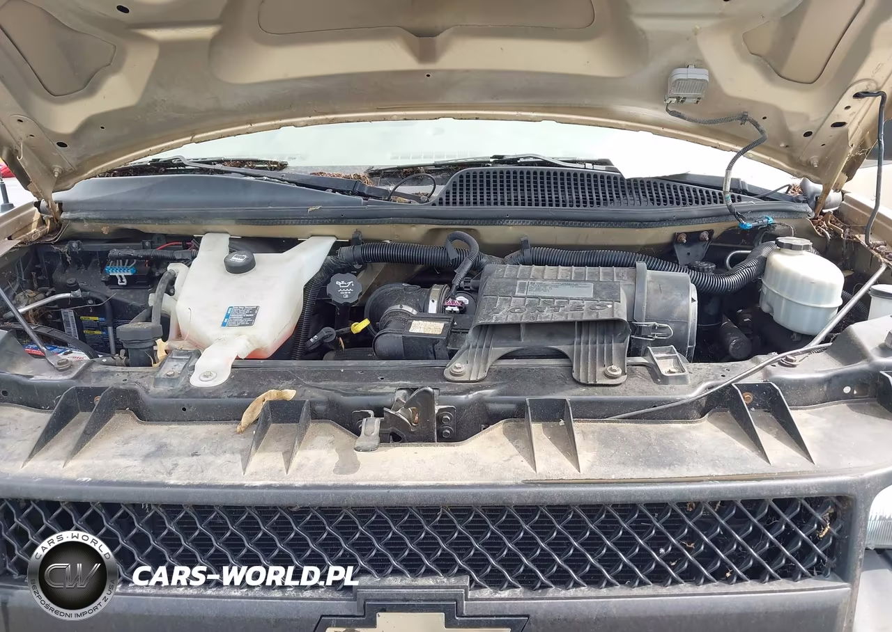 2010 Chevrolet Express 1500 Ls VIN:1GNUGBD42A1131116 - 10