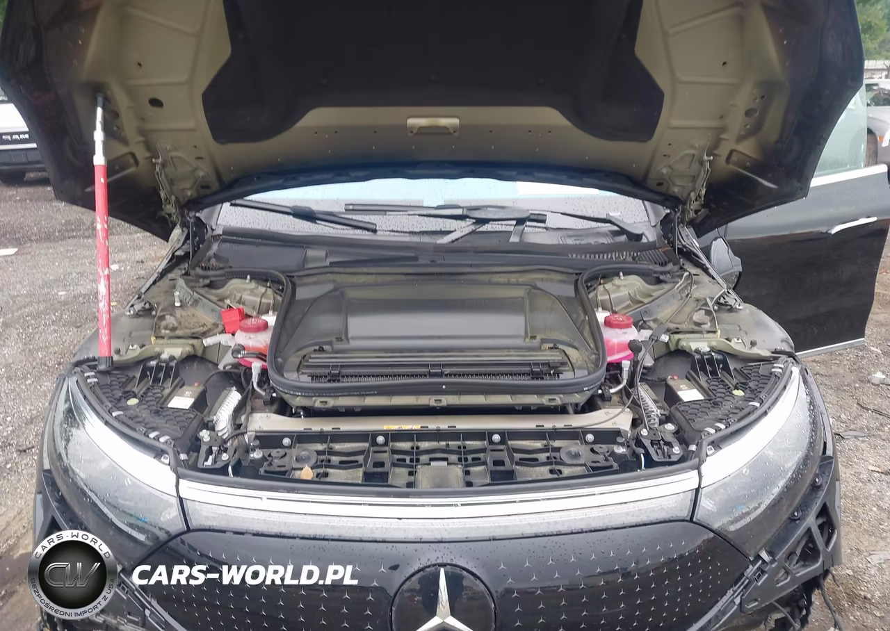 2023 Mercedes-Benz Eqs 450+ VIN:W1KCG2DB9PA027305 - 10
