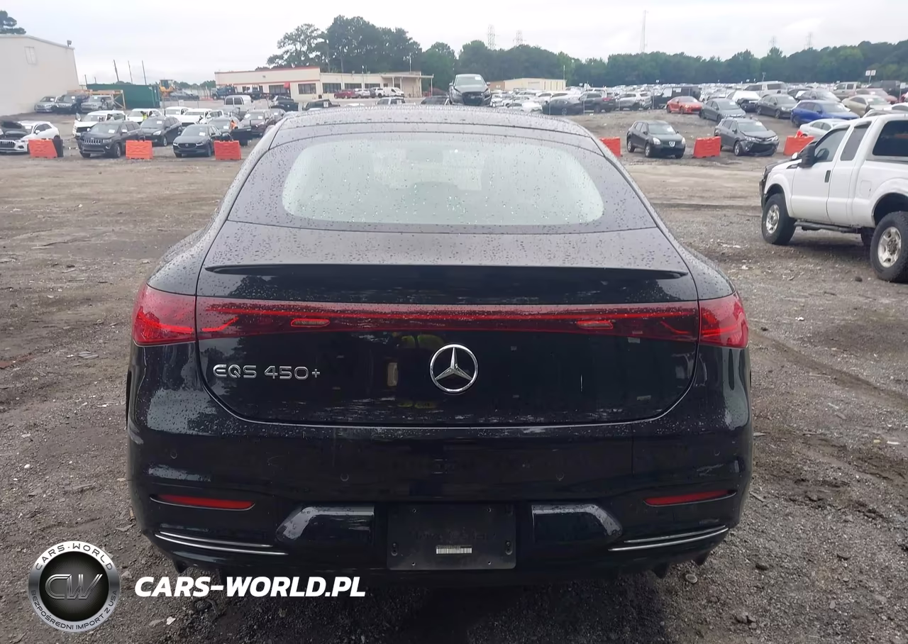2023 Mercedes-Benz Eqs 450+ VIN:W1KCG2DB9PA027305 - 17
