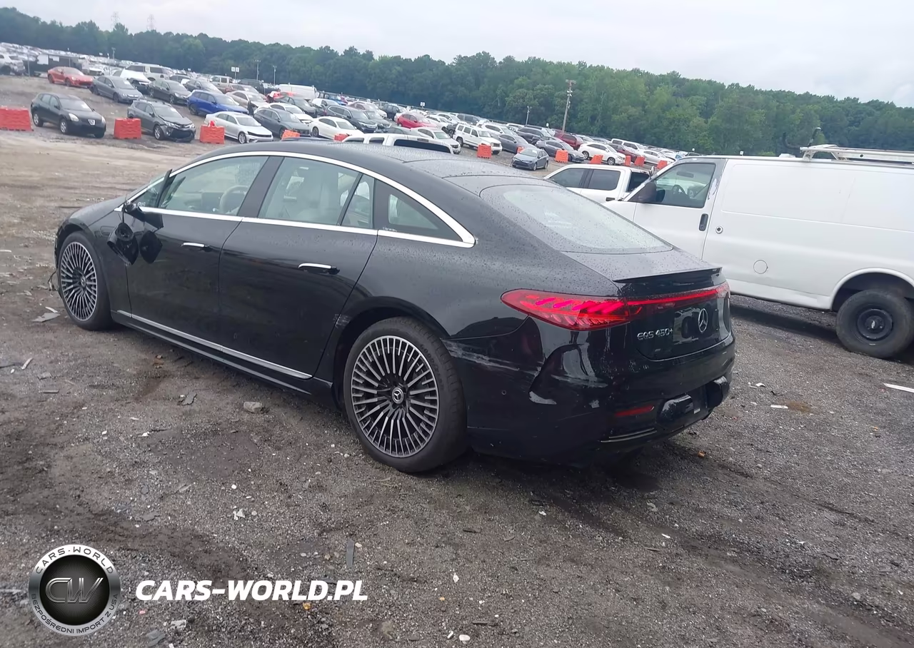 2023 Mercedes-Benz Eqs 450+ VIN:W1KCG2DB9PA027305 - 3