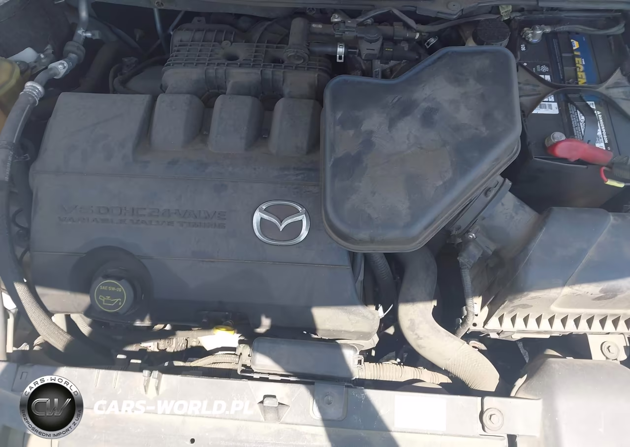 2012 Mazda Cx-9 Touring VIN:JM3TB2CVXC0366358 - 10