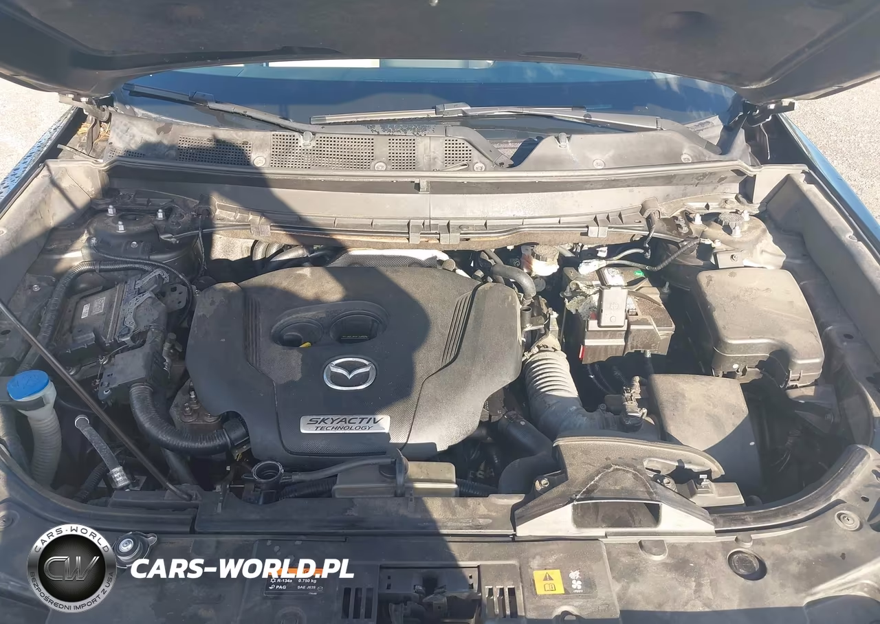 2016 Mazda Cx-9 Touring VIN:JM3TCACY4G0118064 - 10