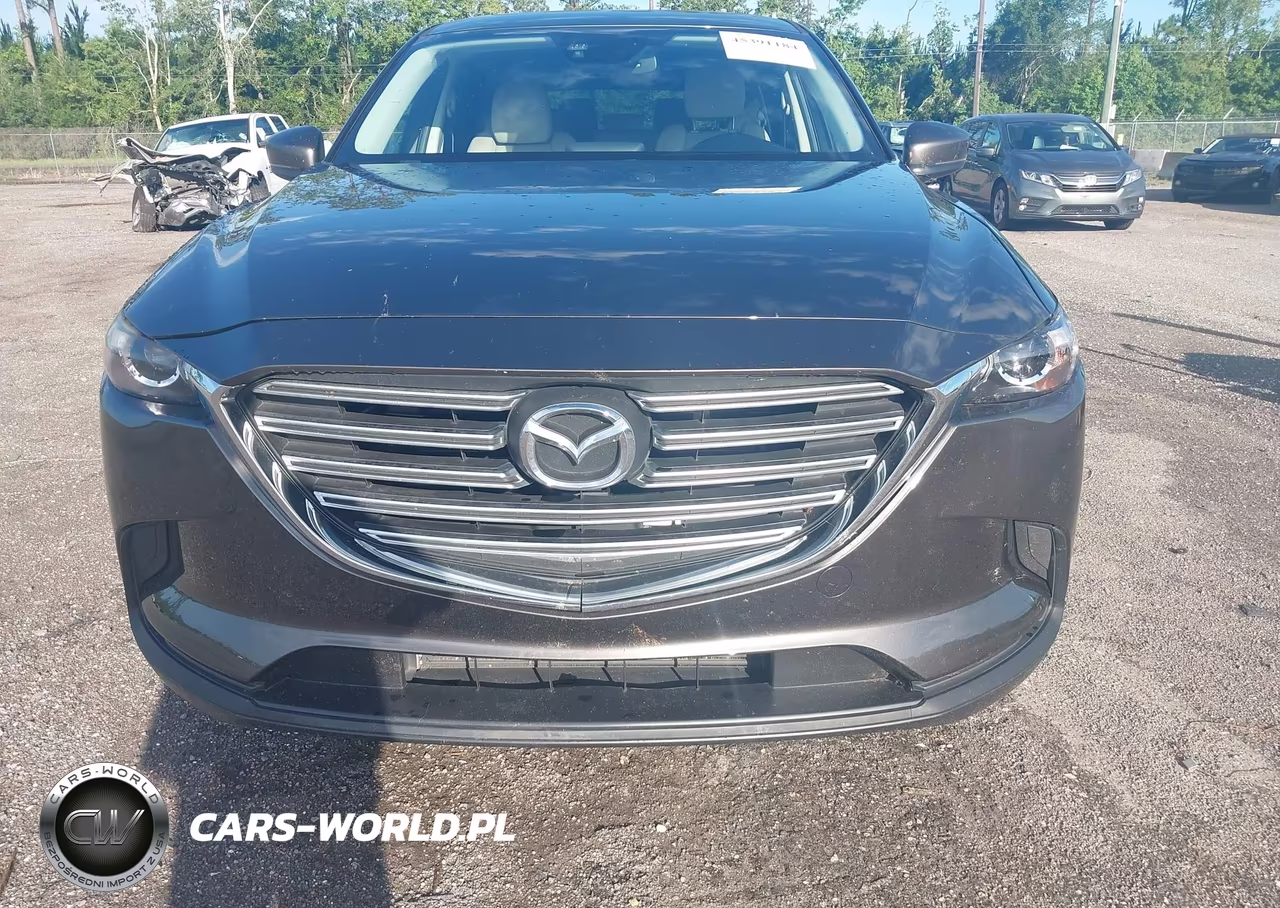 2016 Mazda Cx-9 Touring VIN:JM3TCACY4G0118064 - 12