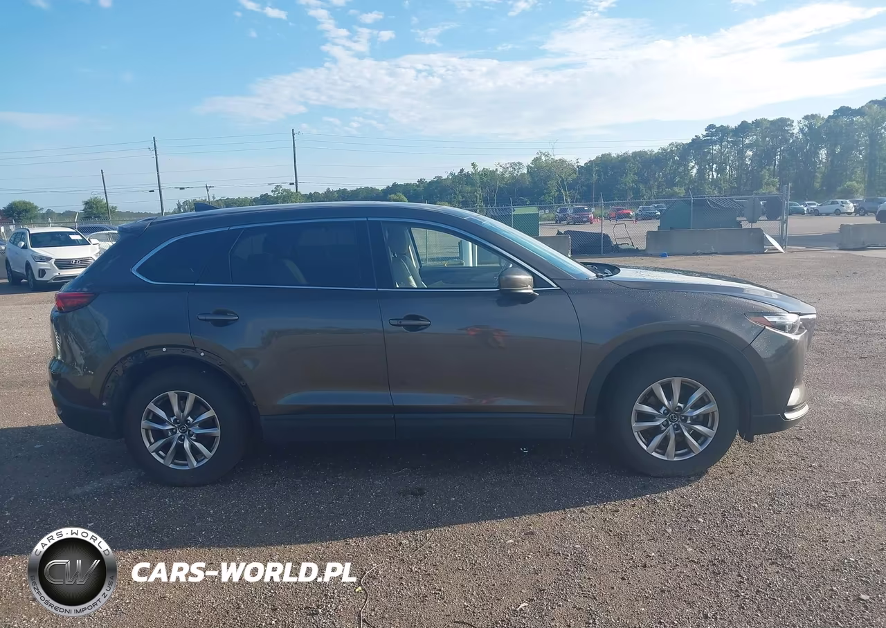2016 Mazda Cx-9 Touring VIN:JM3TCACY4G0118064 - 13