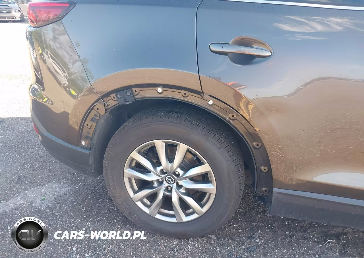 2016 Mazda Cx-9 Touring VIN:JM3TCACY4G0118064 - 6