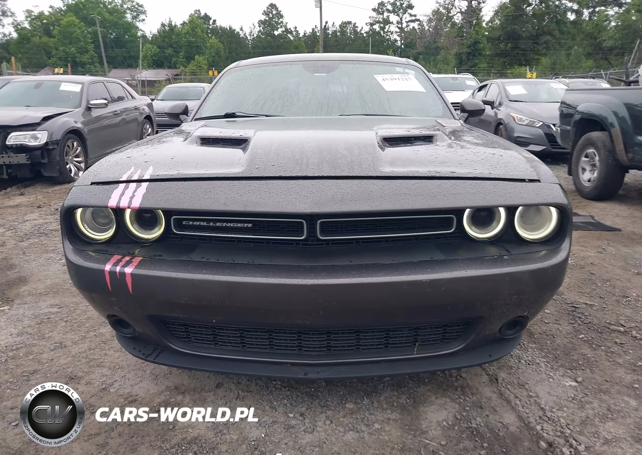 2019 Dodge Challenger Sxt Awd VIN:2C3CDZGG1KH583819 - 12