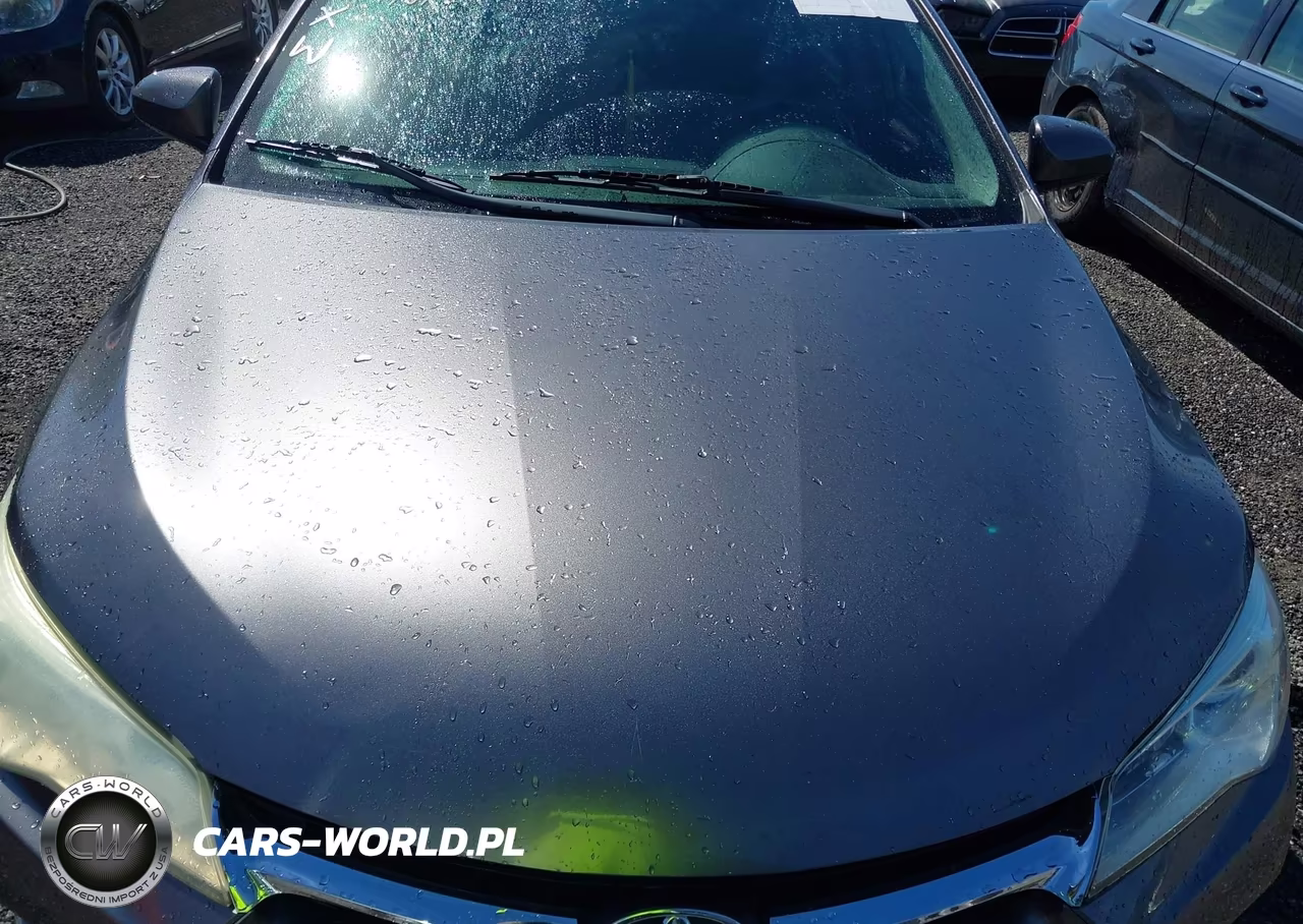 2016 Toyota Camry Le VIN:4T1BF1FK1GU158674 - 10