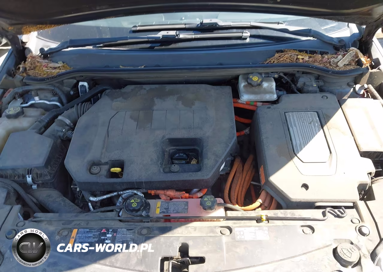 2014 Chevrolet Volt VIN:1G1RE6E44EU148684 - 10
