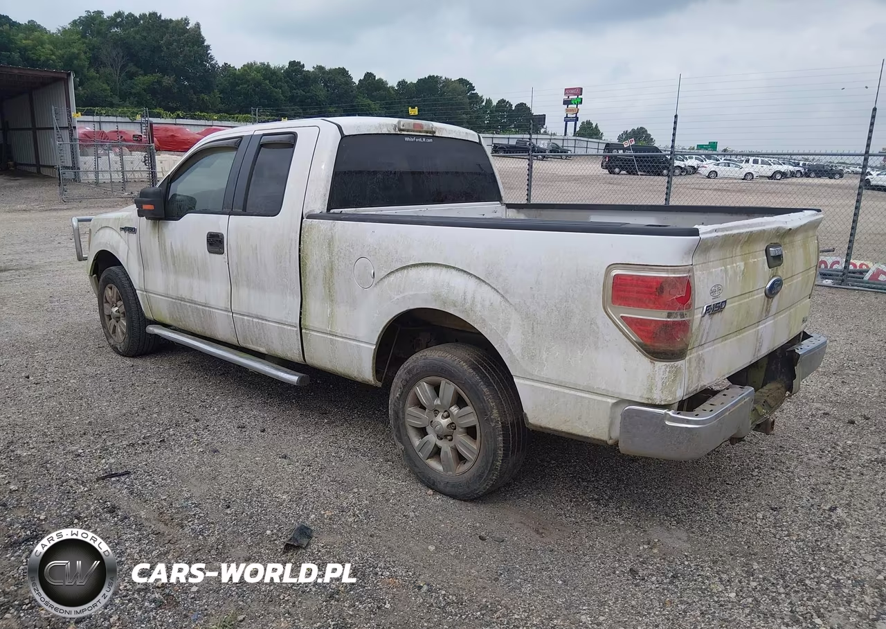 2010 Ford F-150 Fx2 Sport-Lariat-Xl-Xlt VIN:1FTFX1CV1AFC15033 - 3