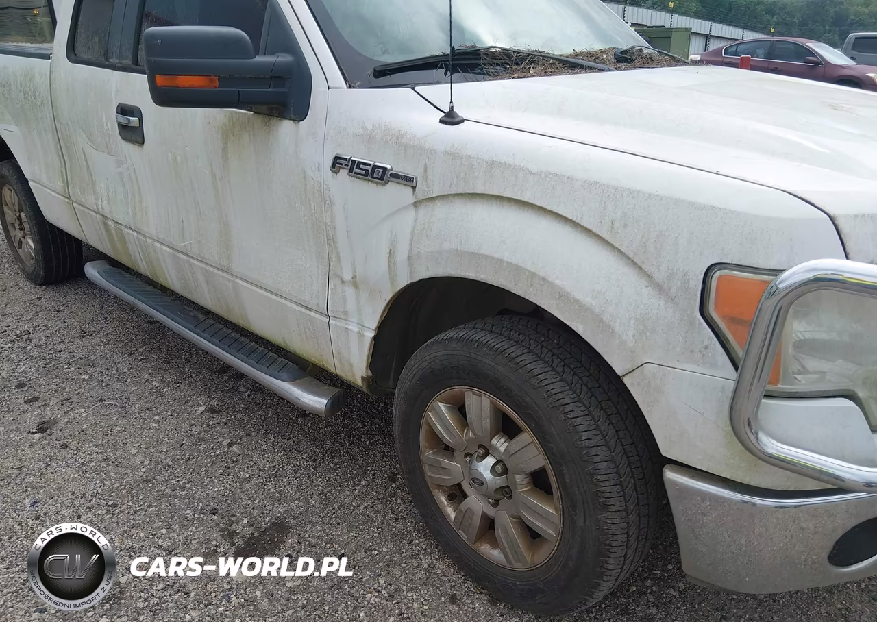2010 Ford F-150 Fx2 Sport-Lariat-Xl-Xlt VIN:1FTFX1CV1AFC15033 - 6