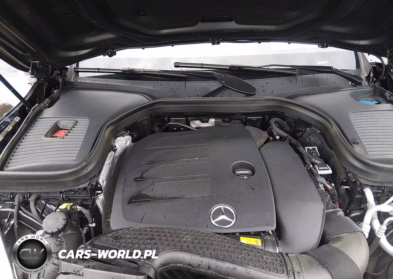 2023 Mercedes-Benz Glc 300 4Matic Coupe VIN:W1N0J8EB9PG139110 - 10