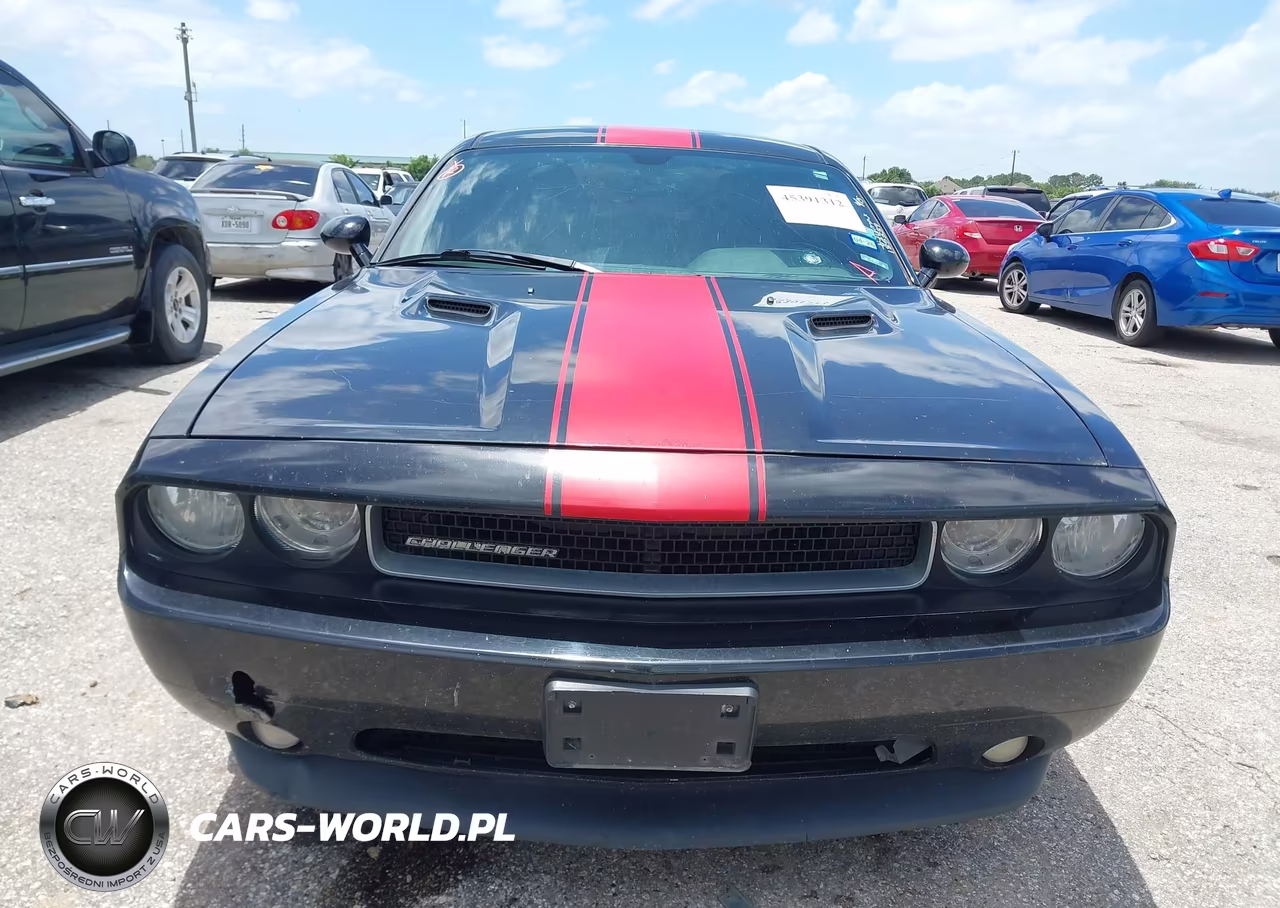 2014 Dodge Challenger Rallye Redline VIN:2C3CDYAG3EH185339 - 12