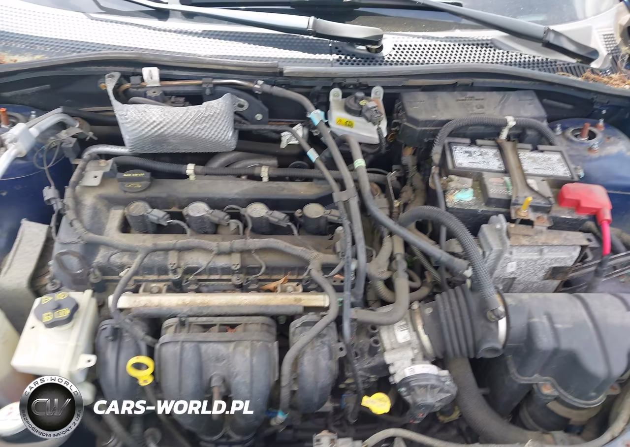 2009 Ford Focus Ses VIN:1FAHP36NX9W134694 - 10