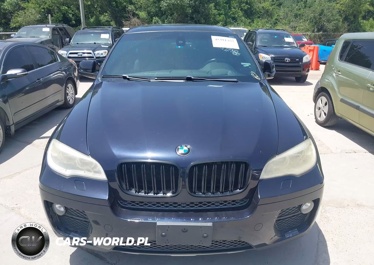 2013 BMW X6 xDrive35I VIN:5UXFG2C56DL787676 - 12
