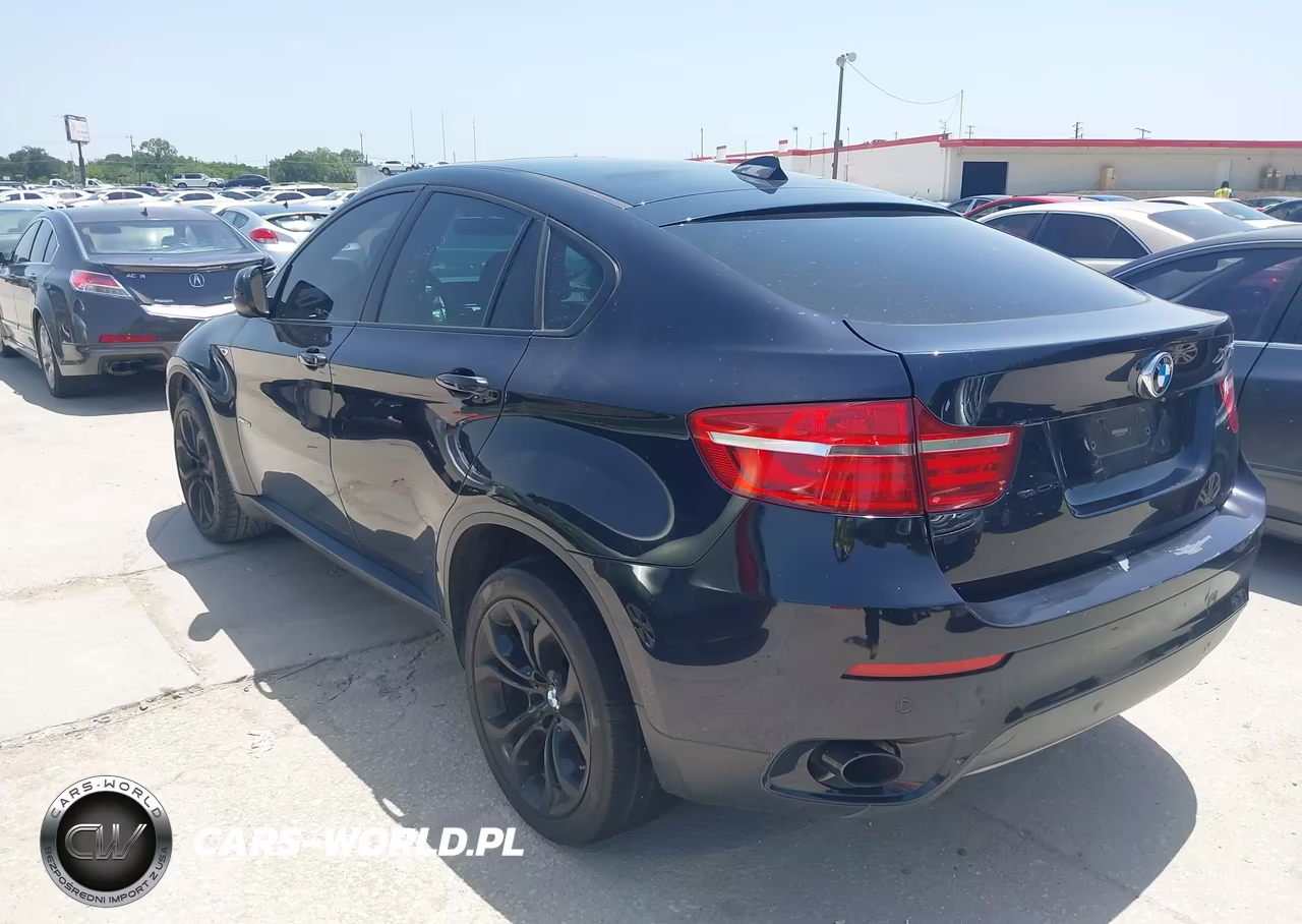 2013 BMW X6 xDrive35I VIN:5UXFG2C56DL787676 - 3